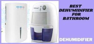 Best Dehumidifier For Bathroom according to Reddit