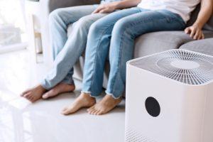 Allergies can be alleviated by using an air purifier. 