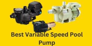 Best Variable Speed Pool Pump