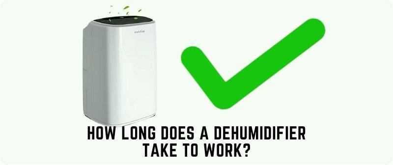 How Long Does A Dehumidifier Take To Work?