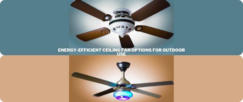 Are there any energy-efficient ceiling fan options for outdoor use