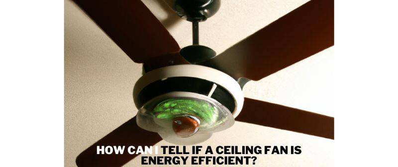 How can I tell if a ceiling fan is energy efficient