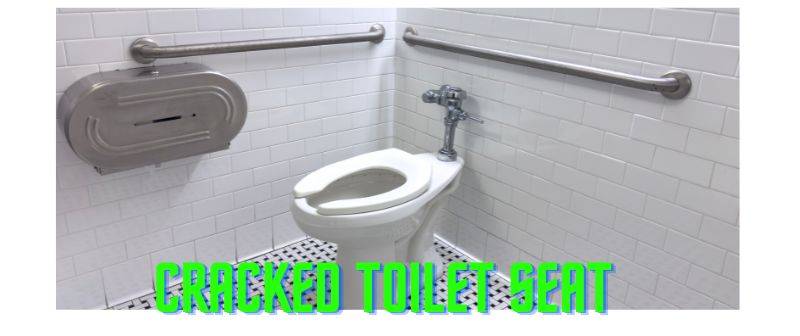 Cracked Toilet Seat