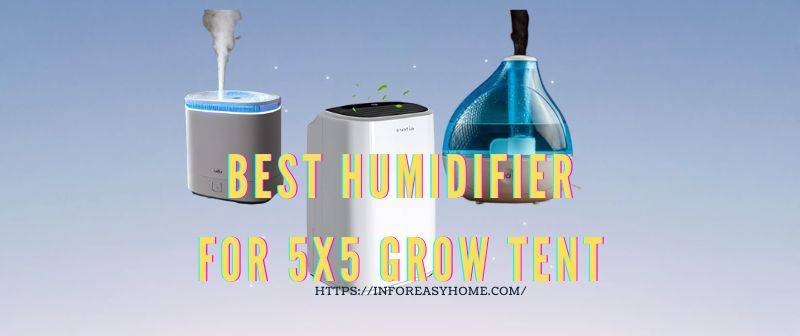 Best Humidifier for a 5×5 Grow Tent