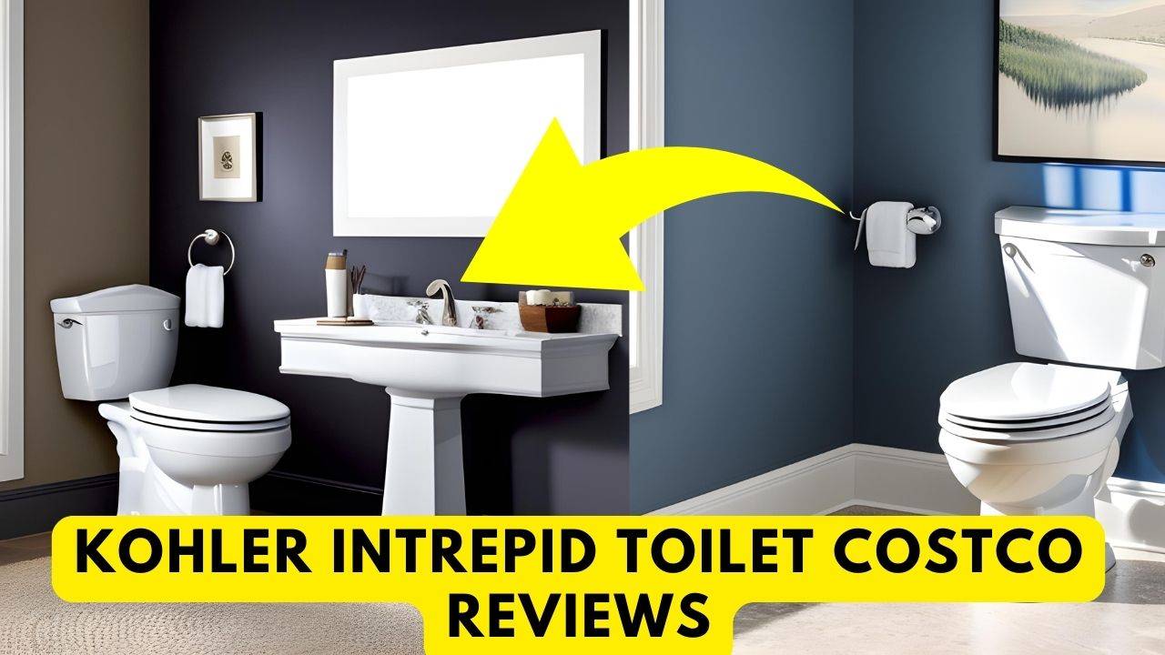 Kohler Intrepid Toilet Costco Reviews