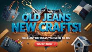 Old Jeans New Crafts! Brilliant DIY Ideas You Need to Try